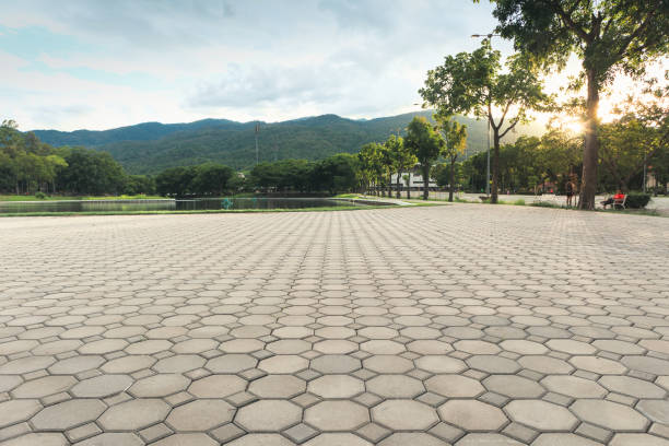 Best Residential Paver Driveway  in Au Sable, MI